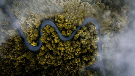 Bending road in the forest from above wallpaper