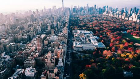 Central Park wallpaper