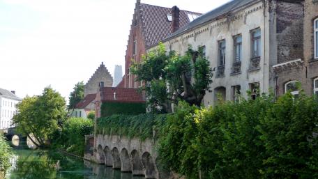 Charming Urban Landscape with Lush Greenery and Historic Architecture wallpaper