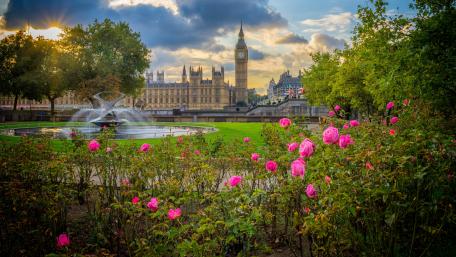 London's Iconic Big Ben Surrounded by Blossoms wallpaper