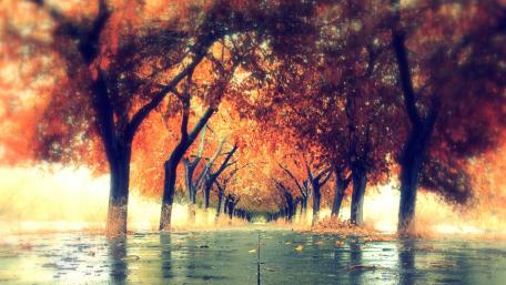 Autumn Serenity in Nature's Embrace wallpaper