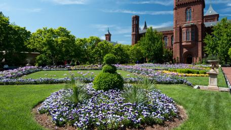 Vibrant City Garden Oasis wallpaper