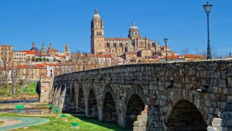 Historic Bridge Leading to Salamanca's Stunning Architecture wallpaper