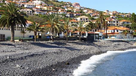 Coastal Haven with Vibrant City Views wallpaper
