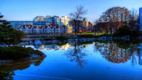 Tranquil City Reflections in a Serene Park Scene wallpaper