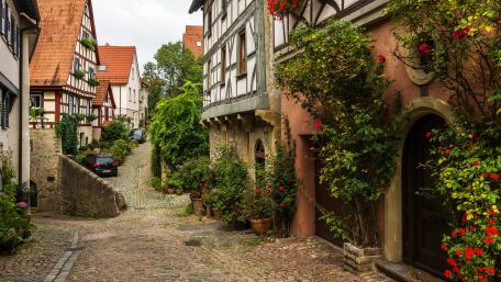 Charming Village Street Scene wallpaper