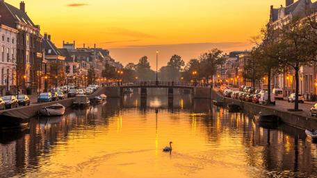 Haarlem wallpaper