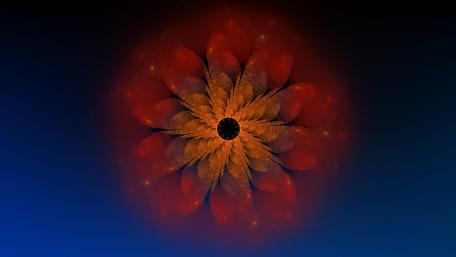 Flower fractal wallpaper