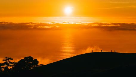 Golden Horizon at Sunset wallpaper