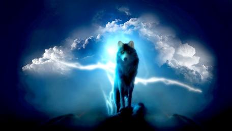 Lone wolf wallpaper