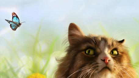 Curious Cat Gazing at a Butterfly wallpaper