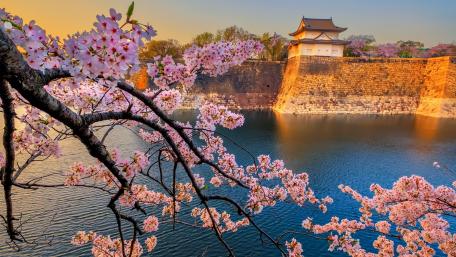 Osaka Castle Park wallpaper