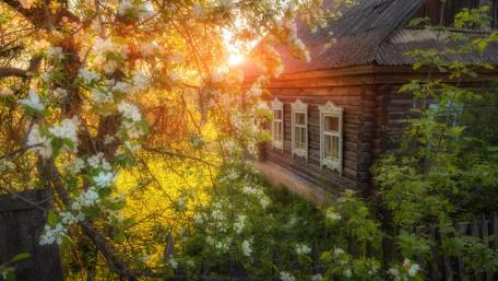 Charming Cottage in Blooming Spring Light wallpaper