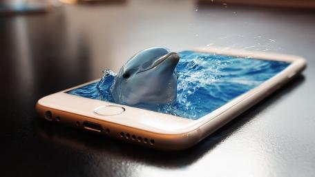 Dolphin Emerging from a Mobile Ocean Wave wallpaper