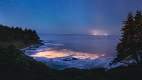 Blue Tears bioluminescence Vancouver Island wallpaper