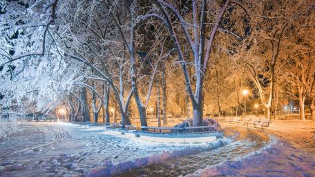 Winter Wonderland in a Snowy City Park wallpaper
