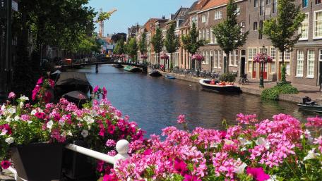 Leiden wallpaper