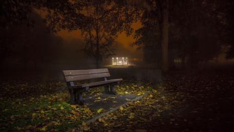Tranquil Autumn Night Scene with a Bench wallpaper