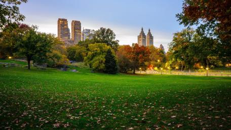Autumn Serenity in the Cityscape wallpaper