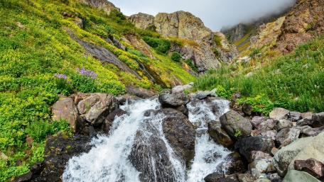 Serenity by the Mountain River wallpaper