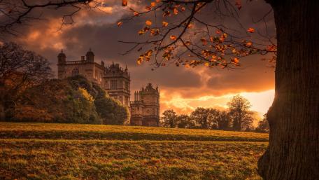 Wollaton Park wallpaper