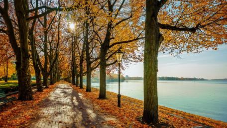 Autumn Serenity by the Lakeside wallpaper