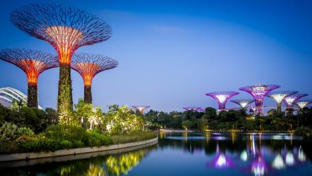 Gardens by the Bay wallpaper