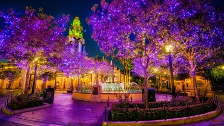 Enchanting Night in the Purple City Park wallpaper