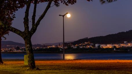 Moon-lantern wallpaper