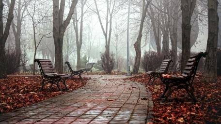 Serene Autumn Park Pathway surrounded by Foggy Forest wallpaper