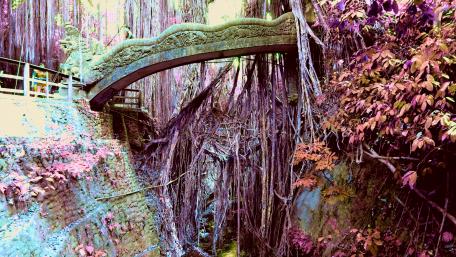 Dragon Bridge in the Sacred Monkey Sanctuary - Bali wallpaper