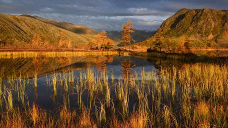 Autumn Serenity in Wilderness Beauty wallpaper