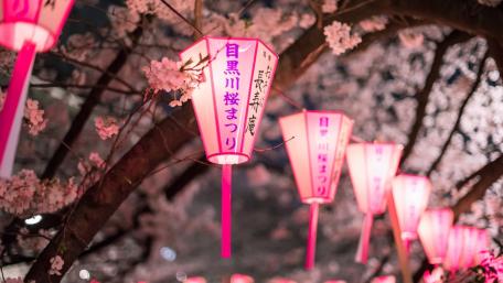 Spring Sakura Lanterns in the City wallpaper