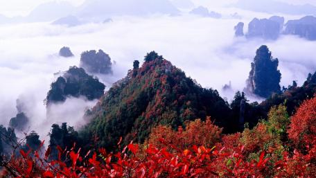Majestic Mountain Peaks Shrouded in Misty Beauty wallpaper