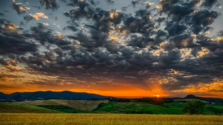 Golden Sunset Over Rolling Hills wallpaper