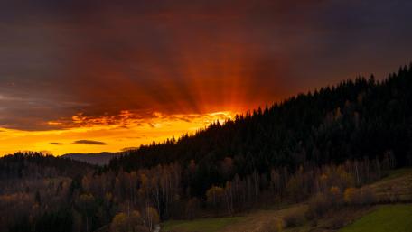 Majestic Sunset Over Serene Forest Landscape wallpaper
