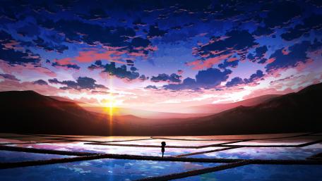 Sunset Over Serene Reflections in Rice Fields wallpaper