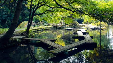 Tranquil Reflection in a Serene Nature Setting wallpaper