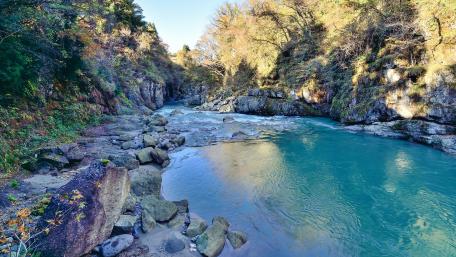 Tranquil River Amidst Autumn Foliage wallpaper