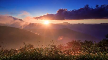 Serene Mountain Sunrise with Blossoms wallpaper