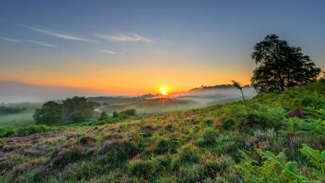 Serene Sunrise Over Rolling Hills and Meadow Grassland wallpaper