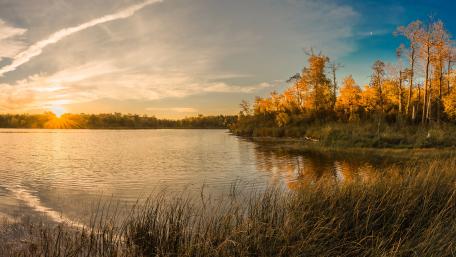 Golden Autumn Reflections on Serene Lake Water wallpaper