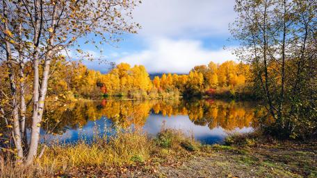 Autumn Serenity Reflecting on Water wallpaper