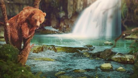 Majestic Bear by the Waterfall wallpaper