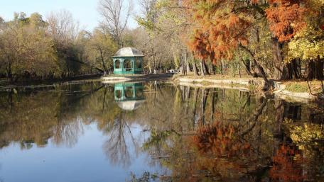 Serene Autumn Reflections on a Tranquil Pond wallpaper