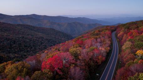 Autumn Road wallpaper