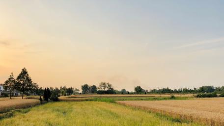Countryside wallpaper