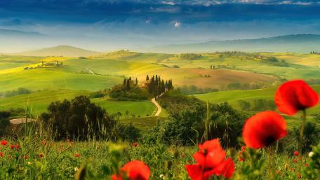 Serene Italian Countryside in Blooming Colors wallpaper