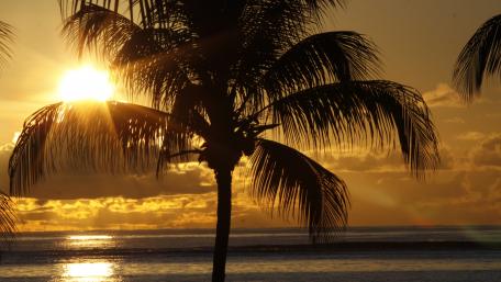 Tropical Sunset Over Calm Waters wallpaper