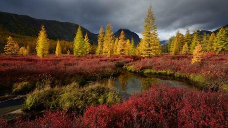Autumn Serenity in Nature's Embrace wallpaper